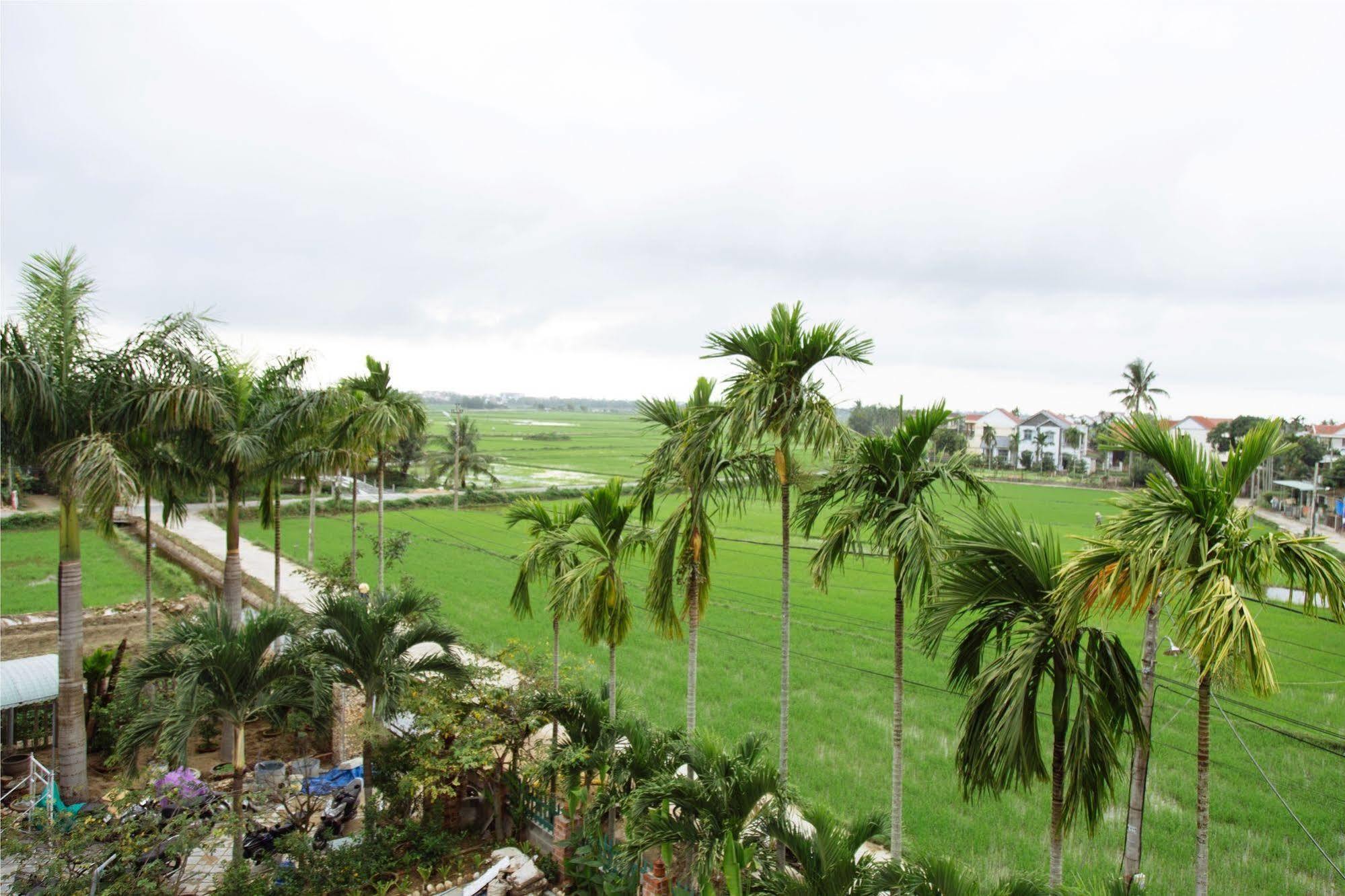 Hoi An Golden Rice Villa Bagian luar foto